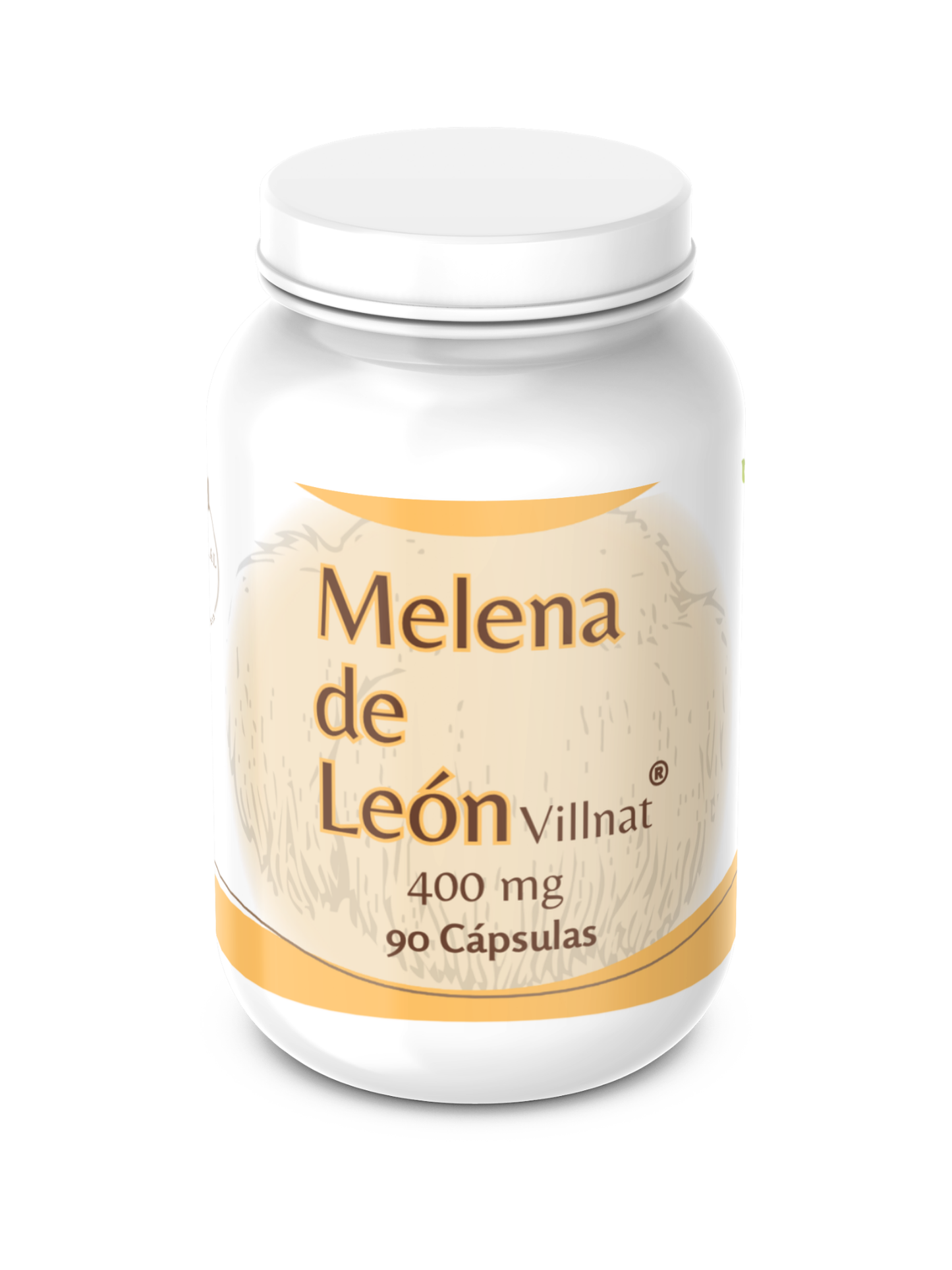 Melena de León Villnat- NYS