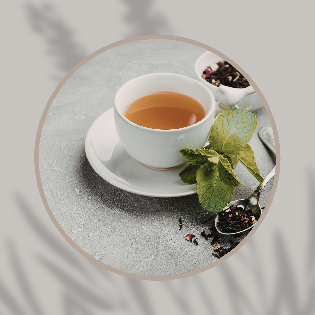 Té e Infusiones
