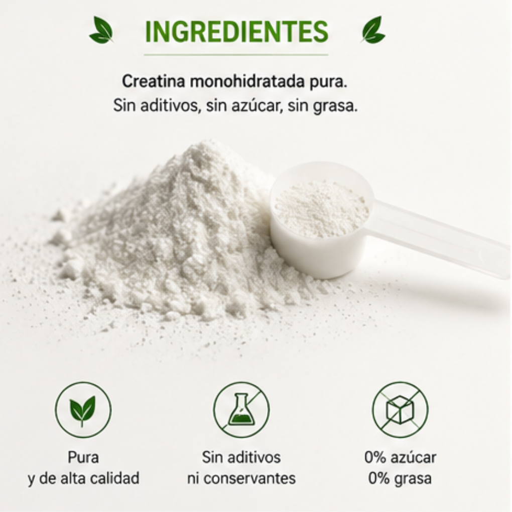 Creatina Monohidratada NewPharma 300 g