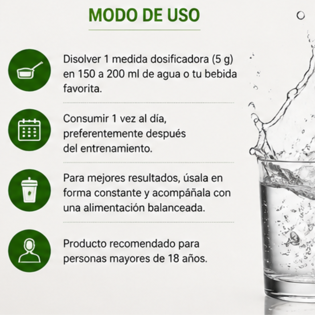 Creatina Monohidratada NewPharma 300 g