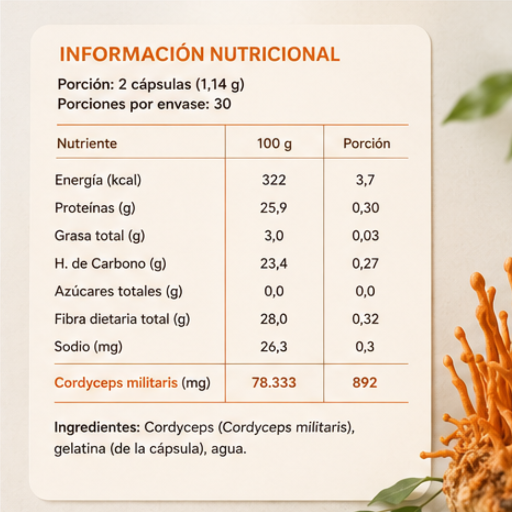 Cordyceps FNL 60 Cápsulas | Cordyceps Militaris
