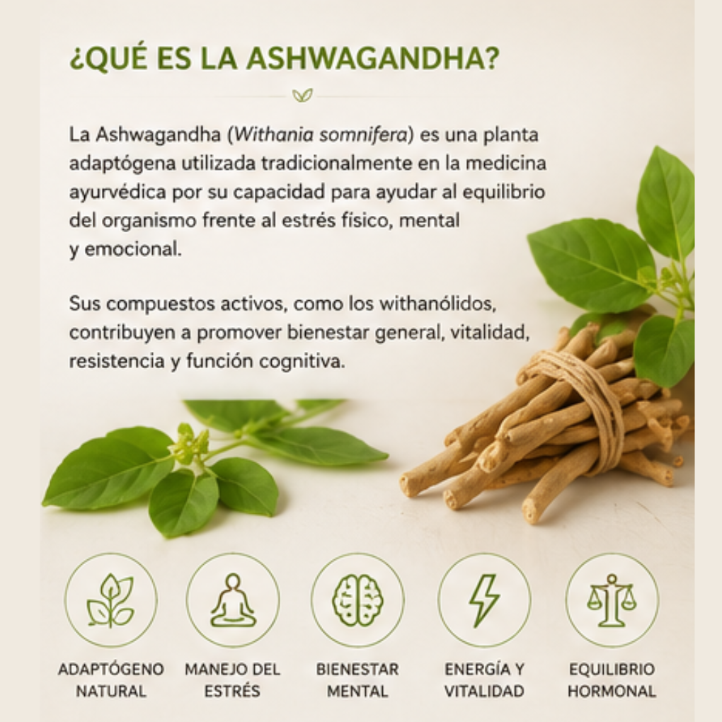 Ashwagandha Villnat 500 mg 60 Cápsulas