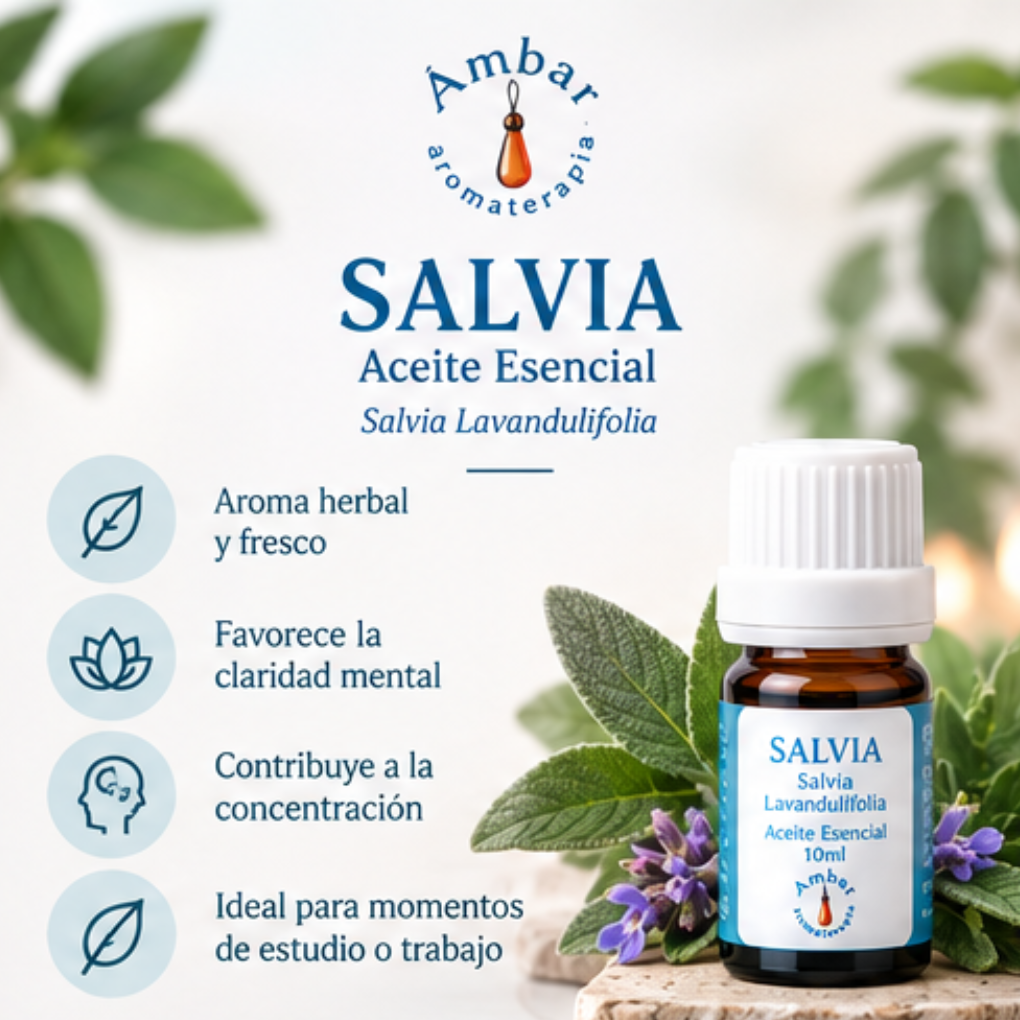 Aceite Esencial Salvia – Ambar Aromaterapia