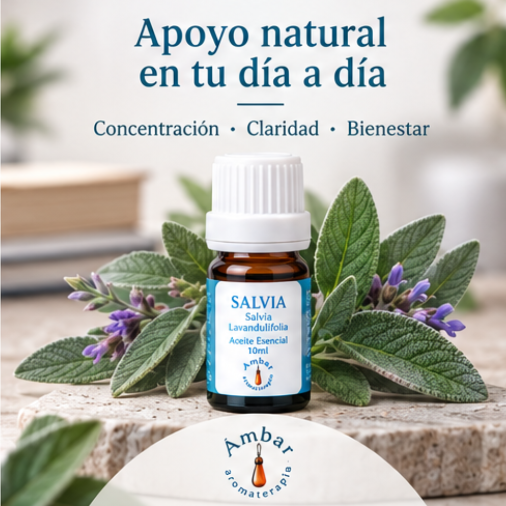 Aceite Esencial Salvia – Ambar Aromaterapia