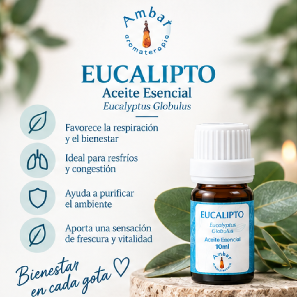 Aceite Esencial Eucalipto – Ambar Aromaterapia