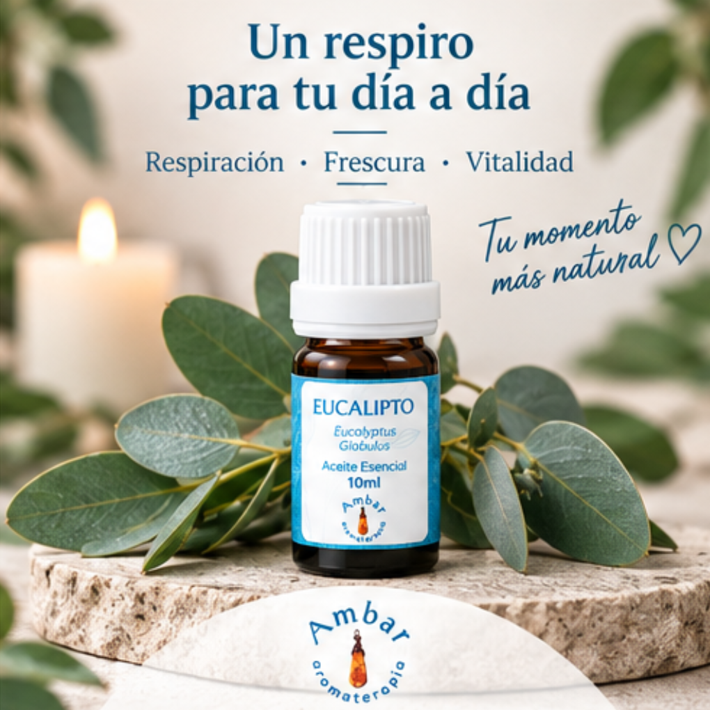Aceite Esencial Eucalipto – Ambar Aromaterapia