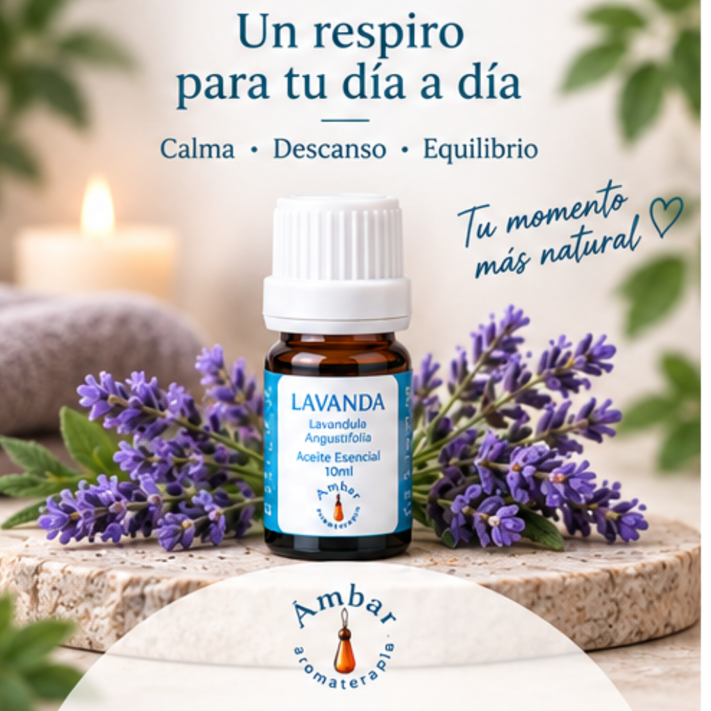 Aceite Esencial Lavanda – Ambar Aromaterapia