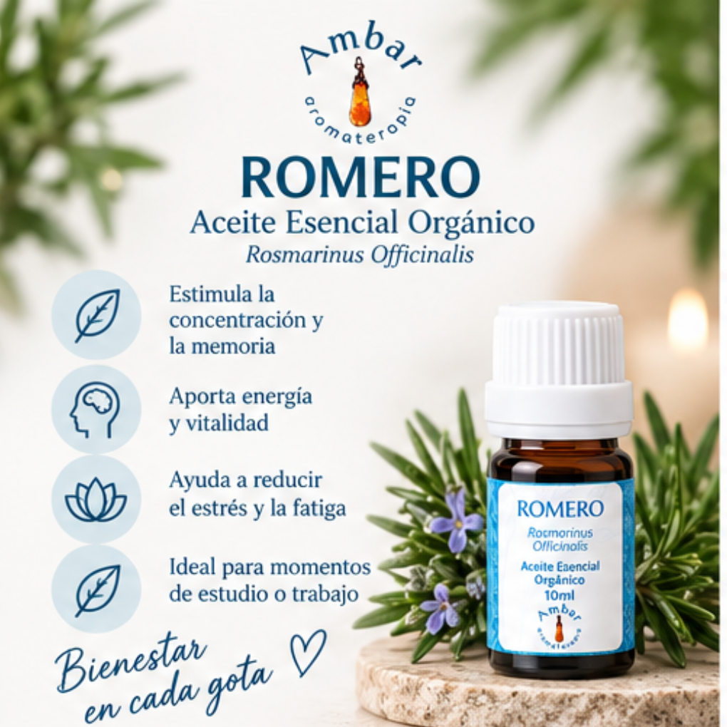 Aceite Esencial Romero Orgánico – Ambar Aromaterapia