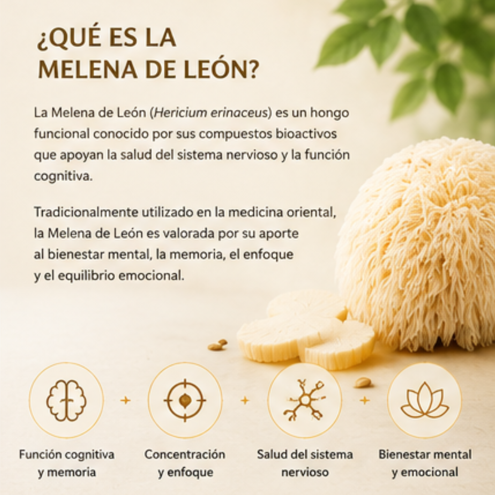 Melena de León 400mg Villnat N&S