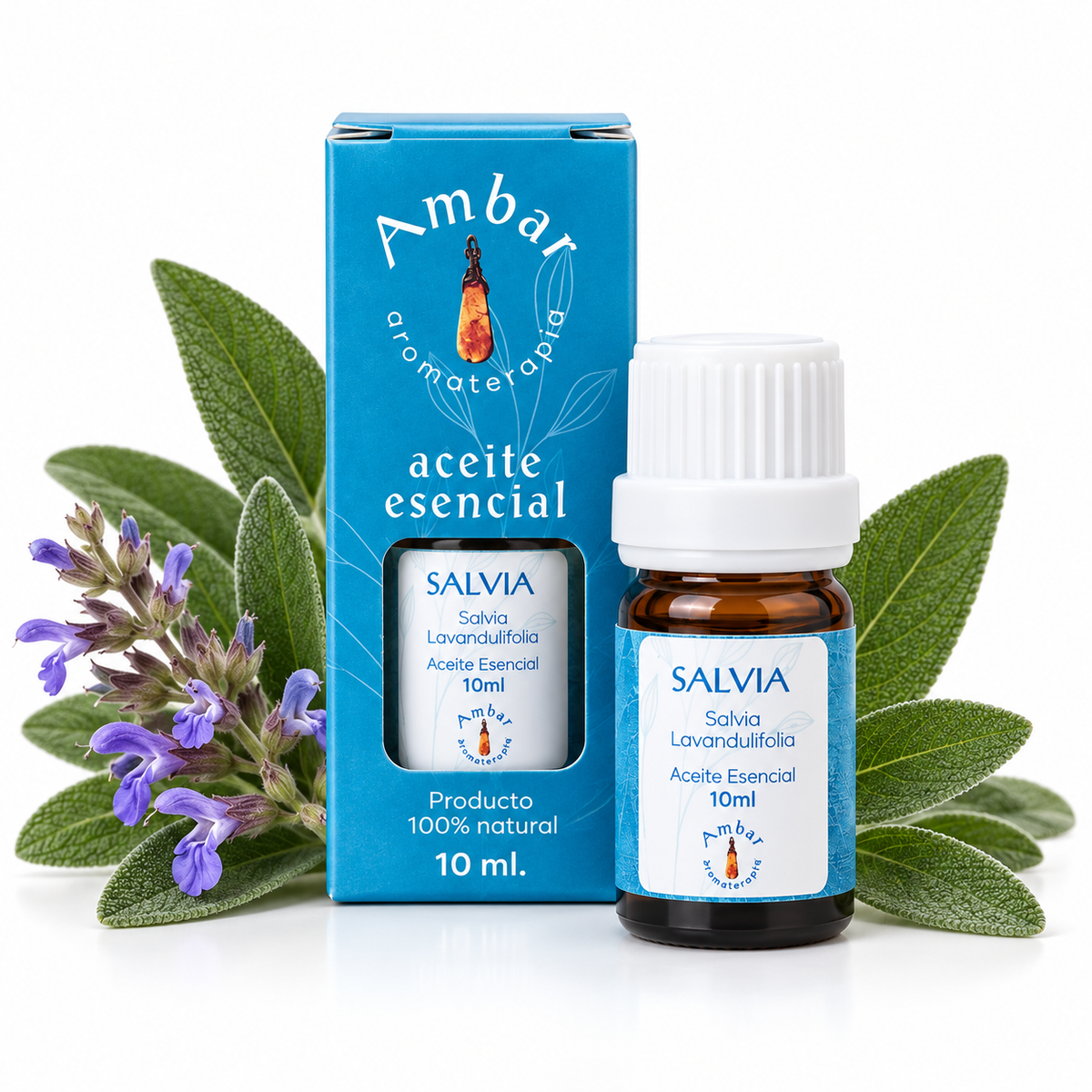 Aceite Esencial Salvia – Ambar Aromaterapia